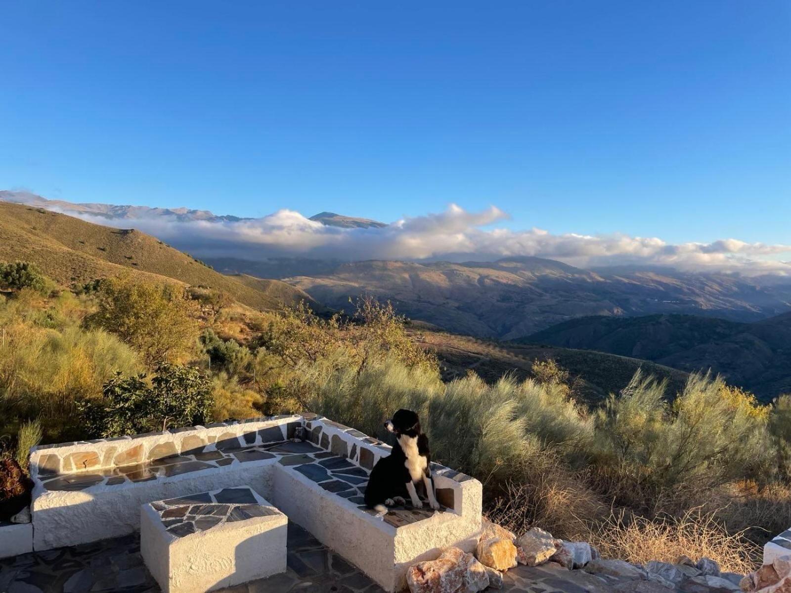 Cortijo La Vista Villa Orgiva Luaran gambar